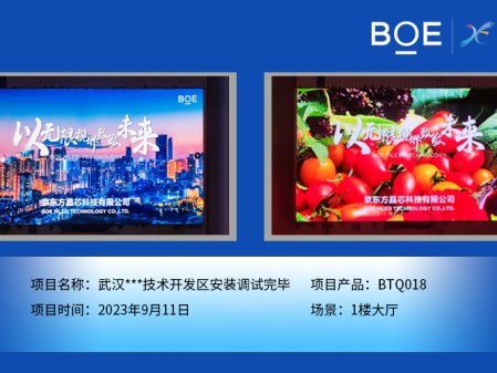 孝感武漢**技術(shù)開發(fā)區(qū)1樓大廳BTQ018安裝調(diào)試完畢