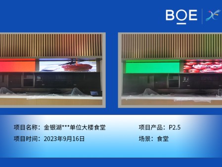 孝感金銀湖**單位大樓食堂P2.5