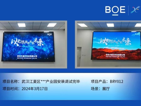 孝感武漢江夏區(qū)**產業(yè)園展廳BRY012安裝調試完畢
