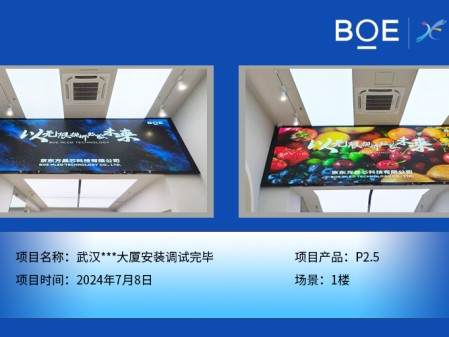 襄陽武漢***大廈安裝調(diào)試完畢