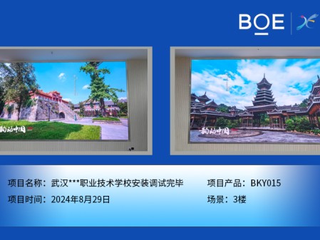 咸寧武漢***職業(yè)技術(shù)學(xué)校安裝調(diào)試完畢