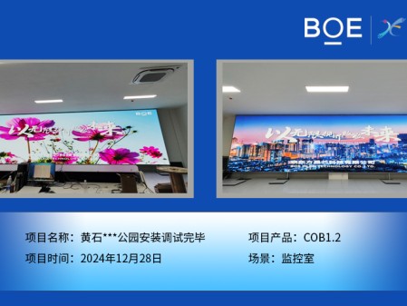 孝感黃石***公園安裝調(diào)試完畢