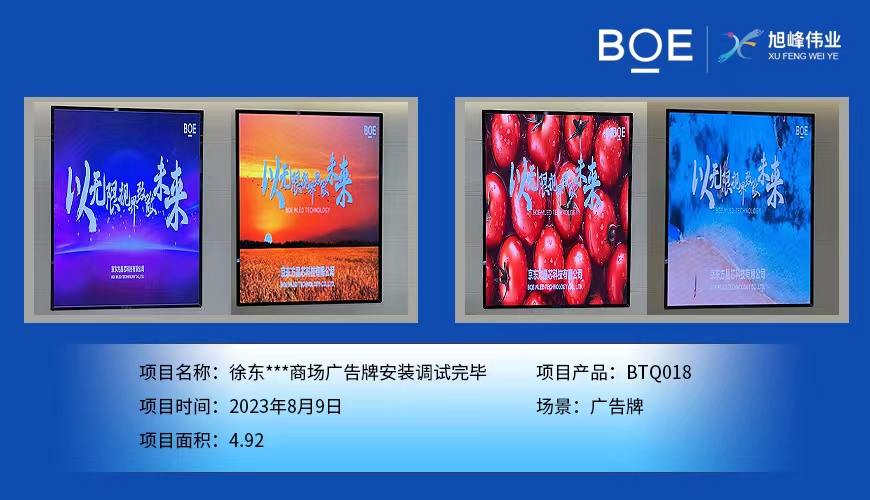 安慶徐東***商場廣告牌